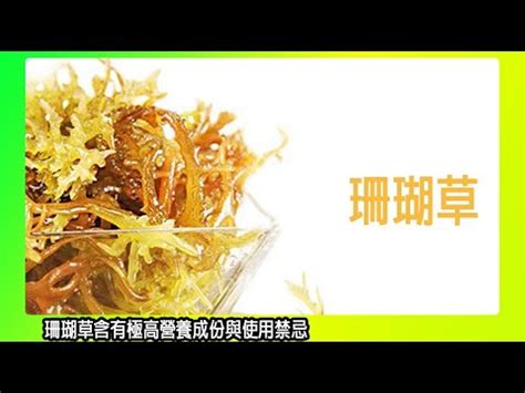 珊瑚草禁忌